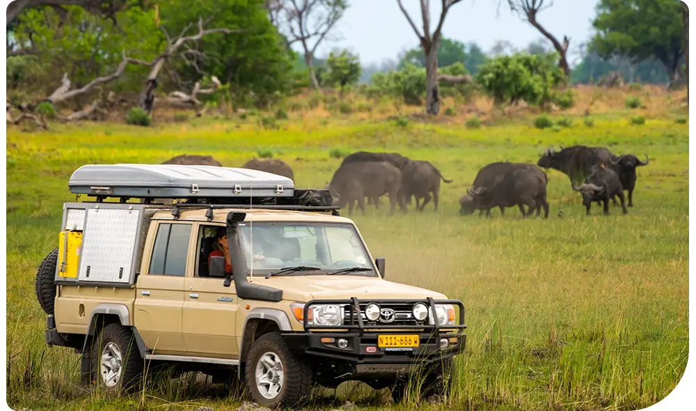 Autohuur-Namibië-Self-Drive-Safari
